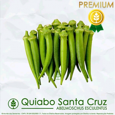 Sementes de Quiabo Santa Cruz 47 | Abelmoschus Esculentus | PREMIUM | Mundo das Sementes