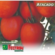 Sementes de Tomate Adriel - Atacado - Feltrin