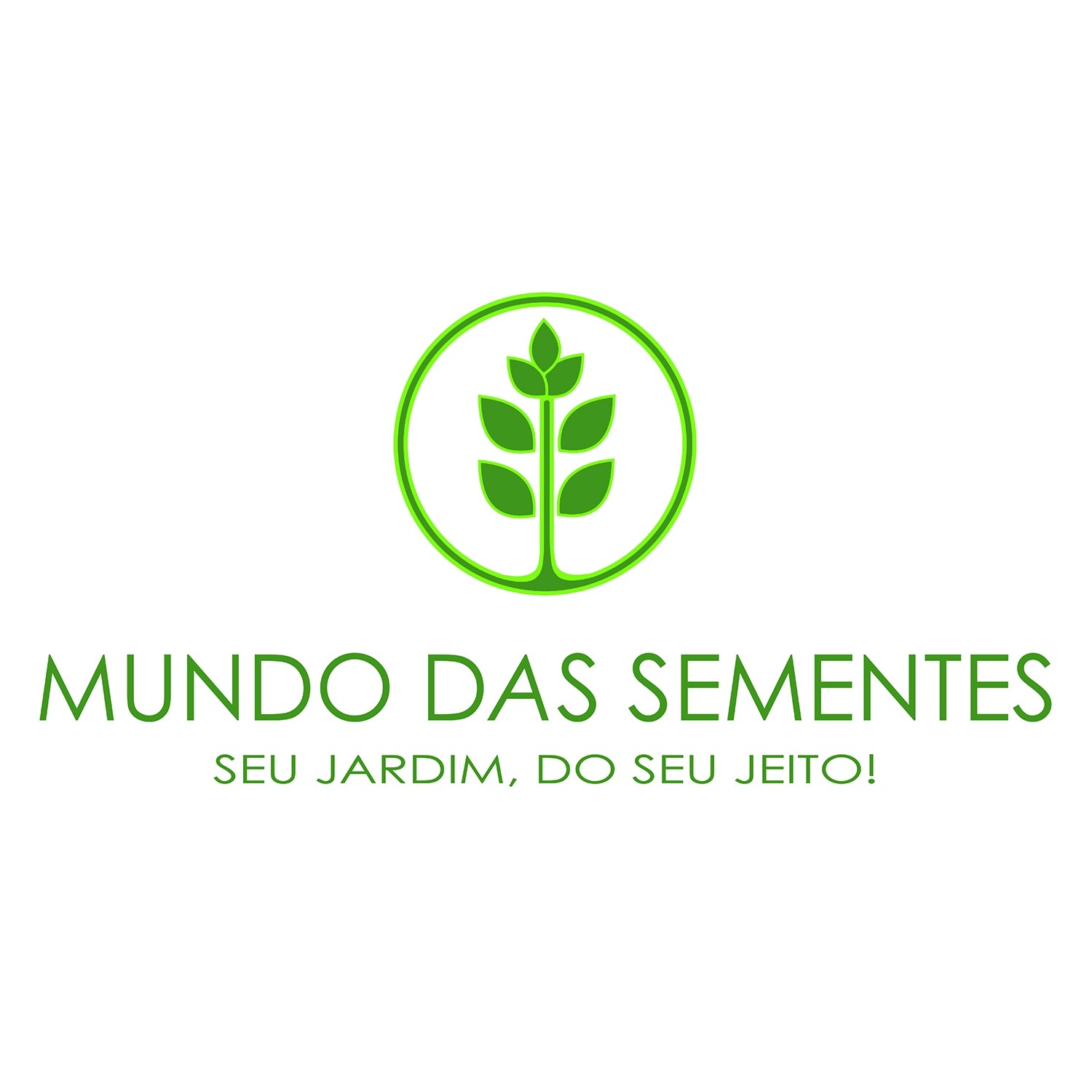 Brindes Ecológicos com Sementes de Pau Fava / Fedegoso - Senna macranthera - Mundo das Sementes
