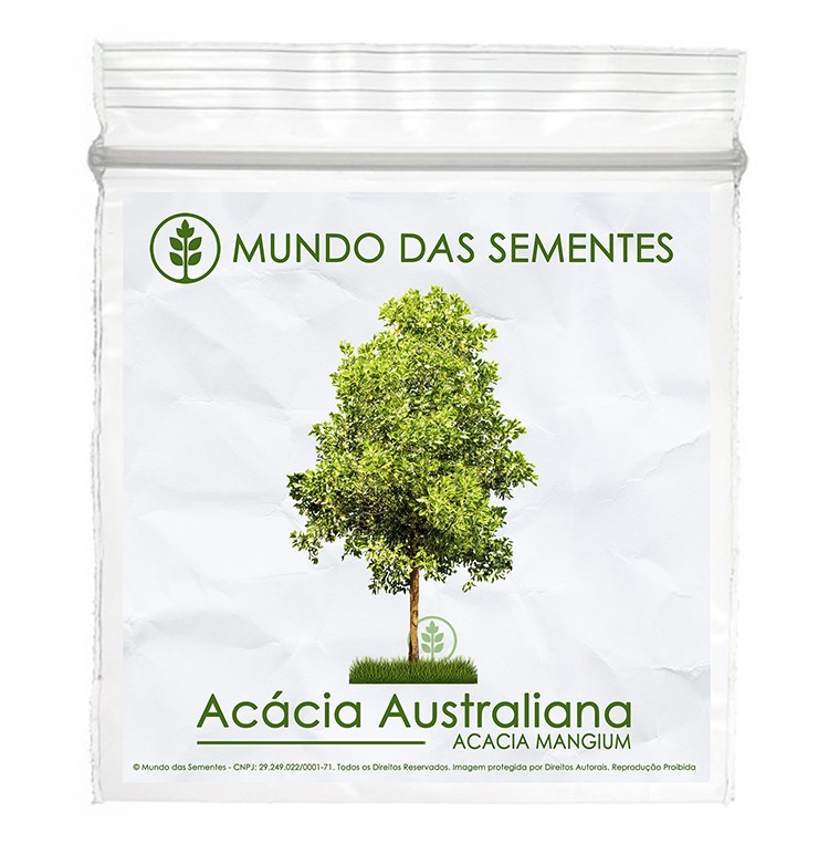 Brindes Ecológicos com Sementes de Acacia Mangium Australiana - Mundo das Sementes