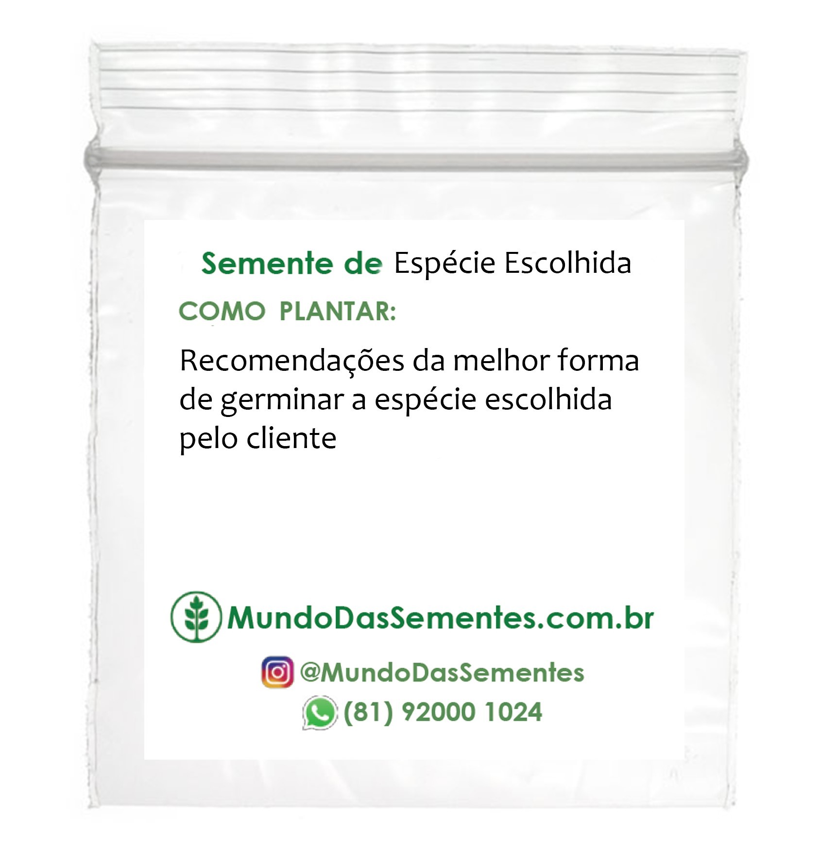 Brindes Ecológicos com Sementes de Paineira Rosa  Ceiba speciosa - Mundo das Sementes