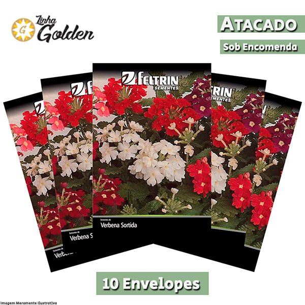 10 Envelopes - Sementes de Verbena Sortida - Atacado - Feltrin - Linha Golden
