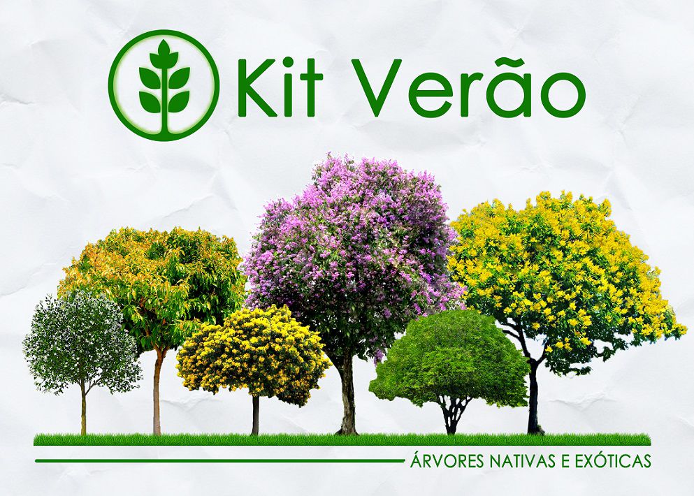 Kit Verão - 180 Sementes de Árvores Nativas e Exóticas - Mundo das Sementes