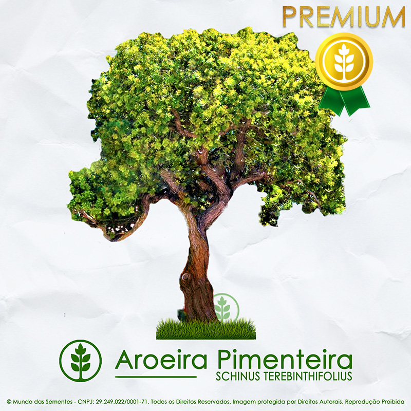 Sementes de Aroeira Pimenteira / Pimenta Rosa (Árvore) | Schinus Terebinthifolius | PREMIUM | Mundo das Sementes