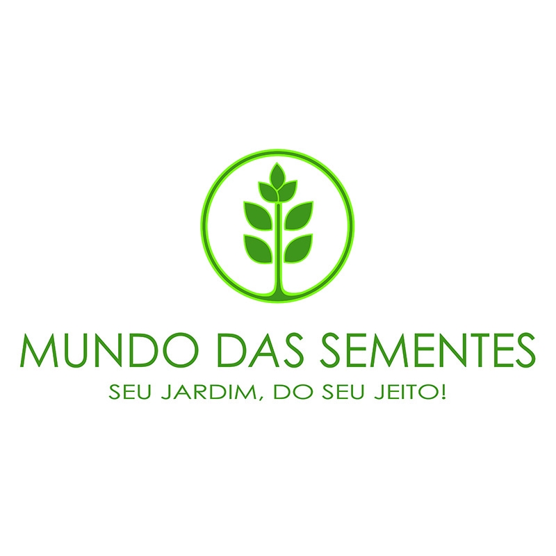 Sementes de Cajá Cajá / Teperebá - Spondias mombin - Frutífera - Mundo das Sementes