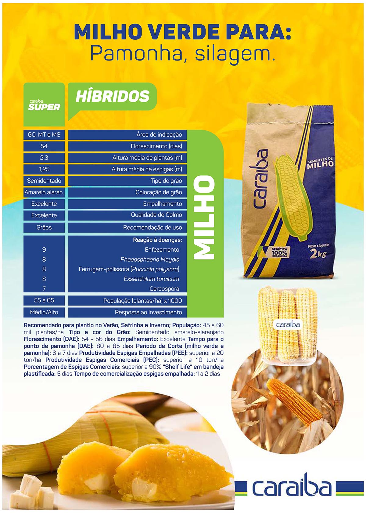 Sementes de Milho Caraibinha Pamonheiro - 270g - Híbrido de Alta Produtividade para Pamonha - Caraíba
