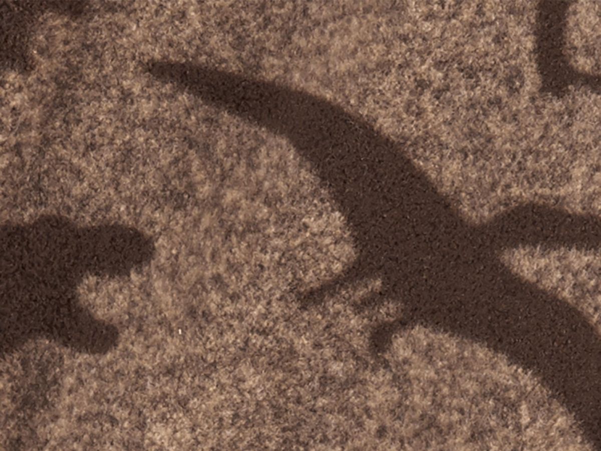 Macacão de plush sem pé marrom dinossauros - Carters - Kaiuru Kids