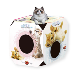 Brinquedo Caixa Cat Box Papelão Arranhar Filhote Furacão Pet