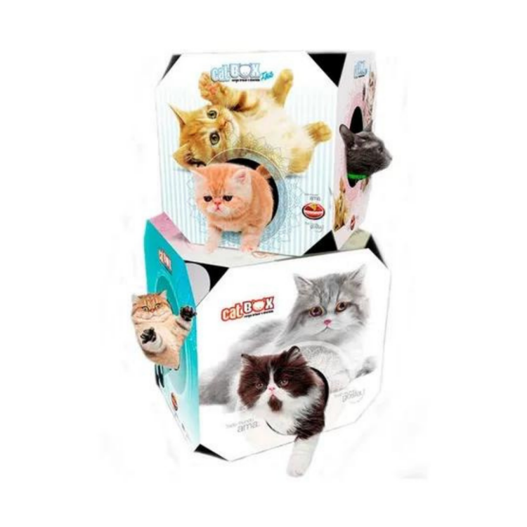 Brinquedo Caixa Cat Box Papelão Arranhar Adulto Furacão Pet
