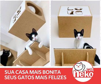 Kit 02 Nichos Gatos Almofada + Ponte + 02 Prateleiras s/Carpete - Frente Branca