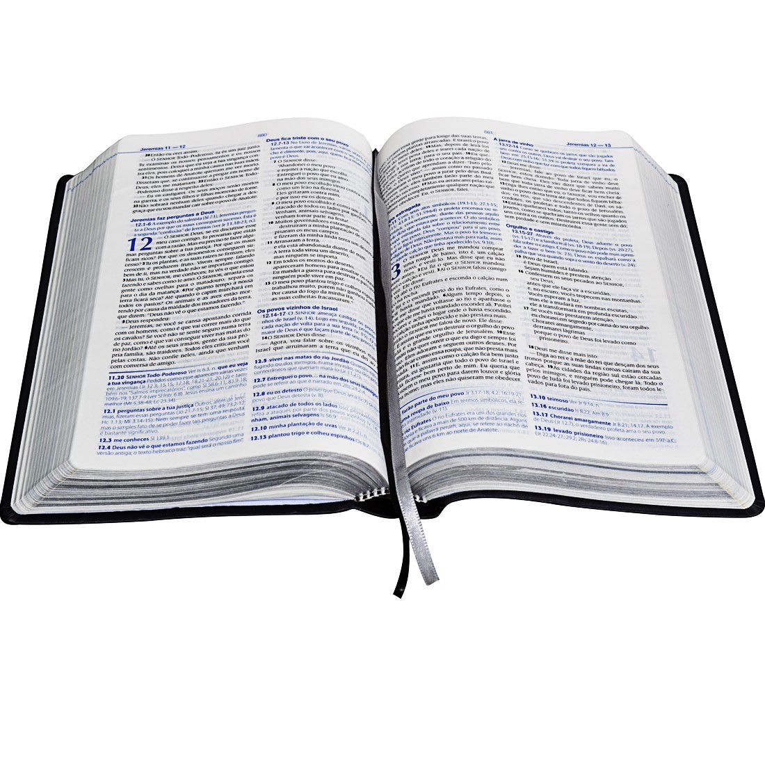 Bíblia de Estudo  NTLH - Linguagem Fácil