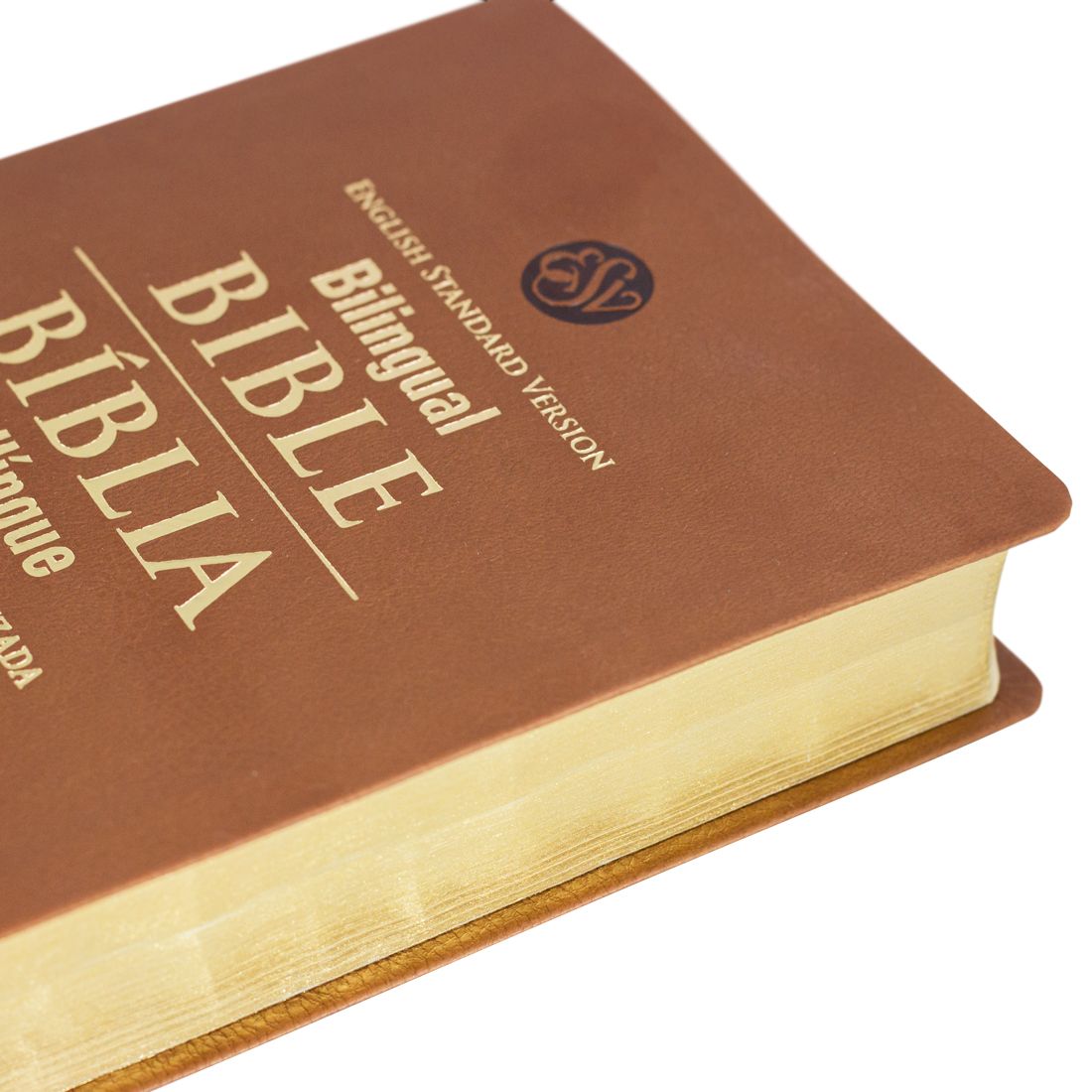 Bíblia Sagrada Evangélica Bilingue Português Inglês