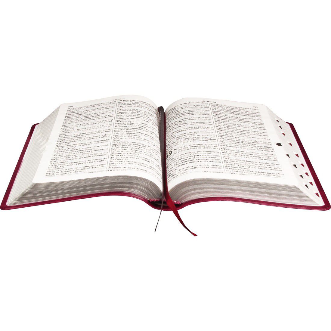 Bíblia Sagrada Letra Gigante - Capa Couro - Cor Púrpura Nobre Luxo