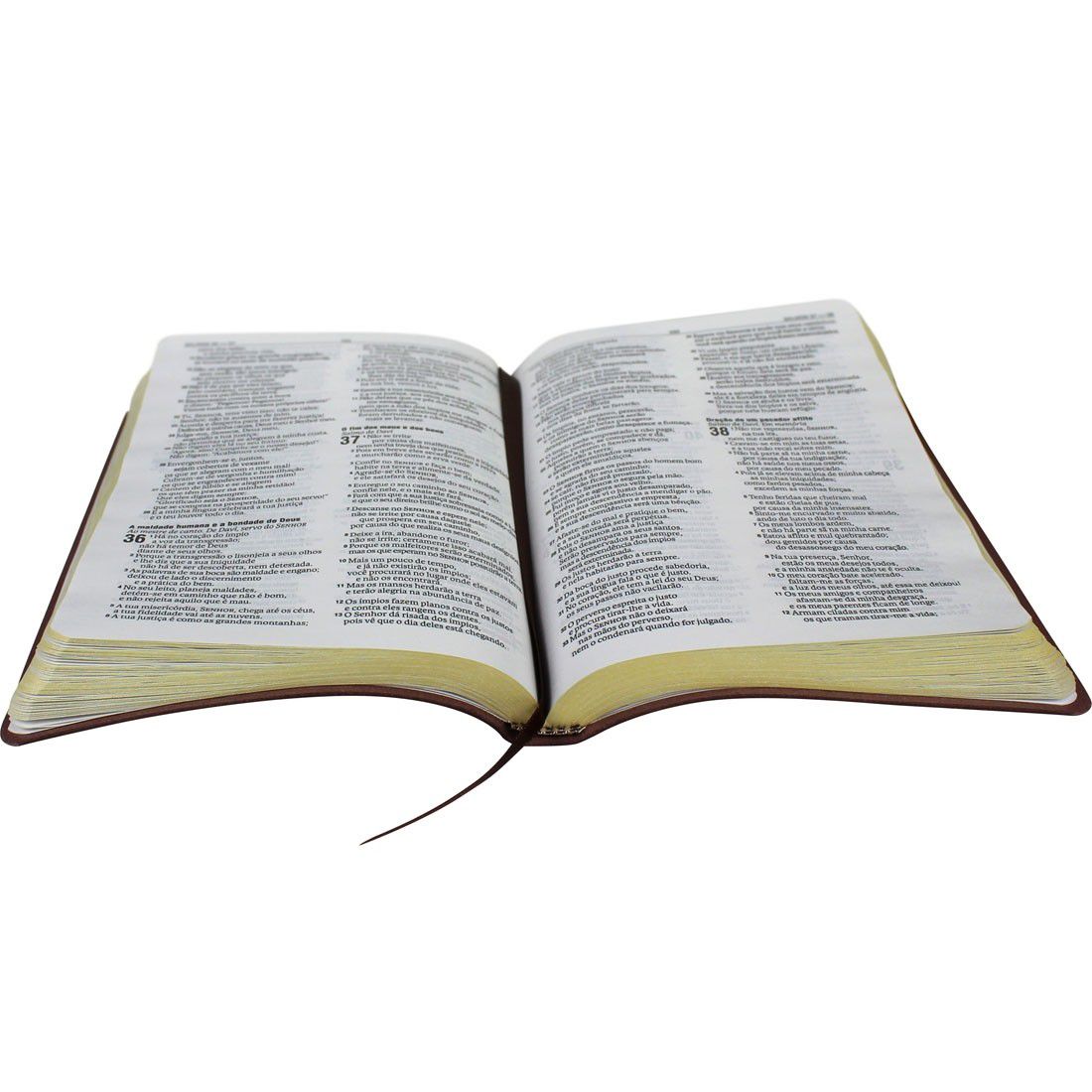 Bíblia Sagrada Nova Almeida Atualizada - Capa Couro Sintético Marrom