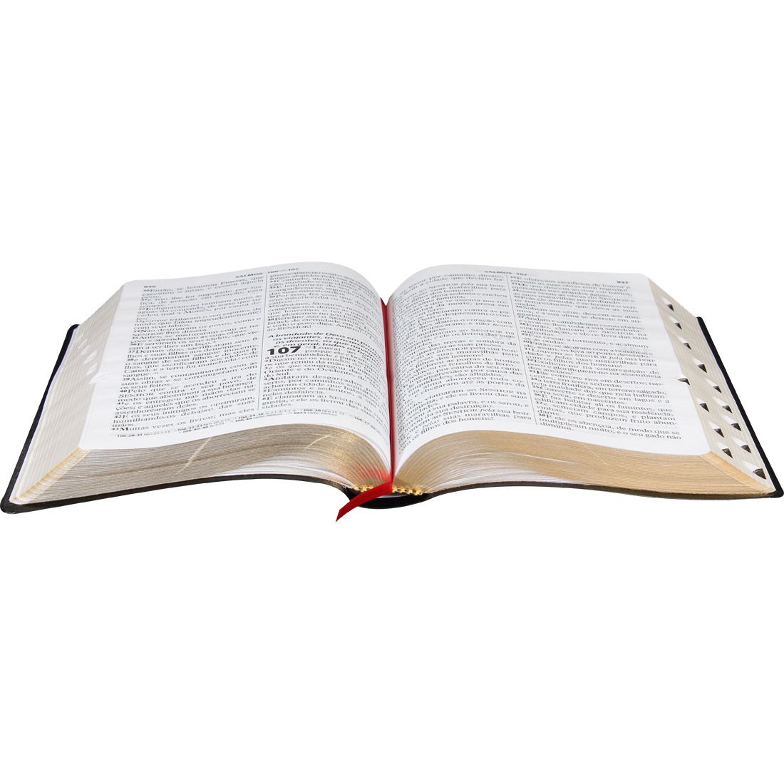 Bíblia Sagrada Letra Gigante Preta Com Índice e Letra Vermelha