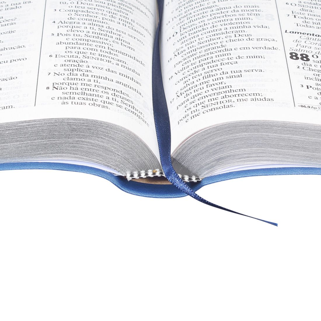 Kit Bíblia Sagrada Letra Gigante Capa Couro Azul/Cinza + Manual Bíblico SBB 3ª Edição