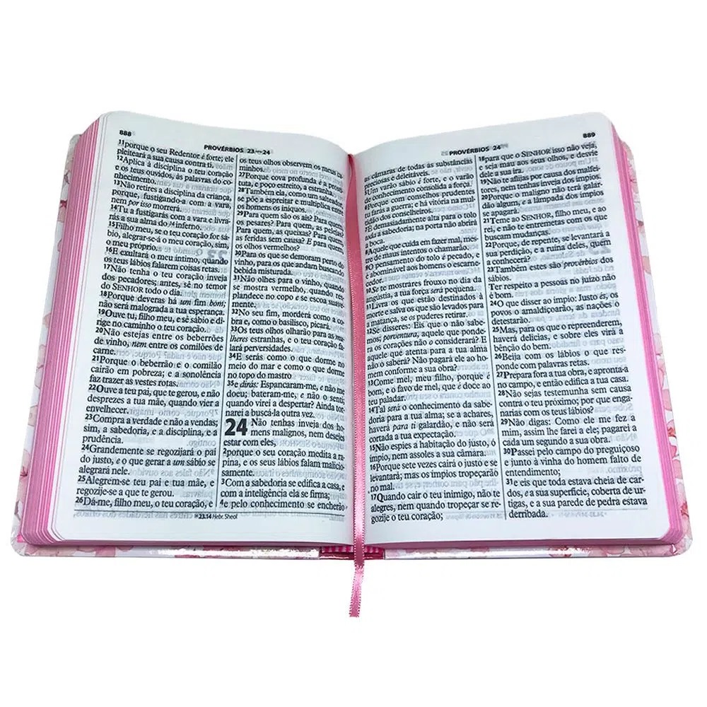 Bíblia Evangélica Feminina de Estudo RC + Bíblia Com Harpa Letra Gigante Capa Flores Cerejeira RC