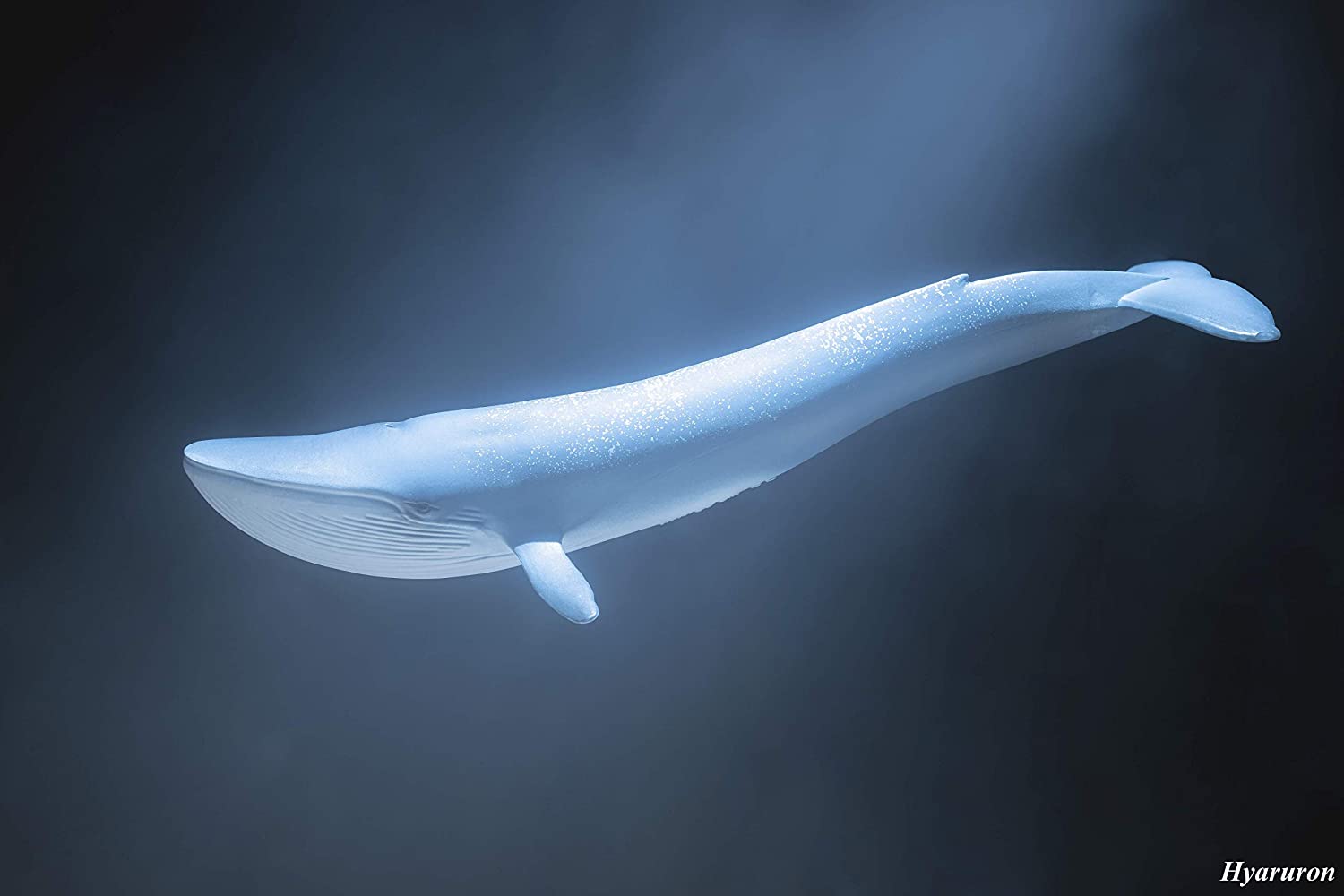 Schleich North America Baleia Azul Oficial Licenciado