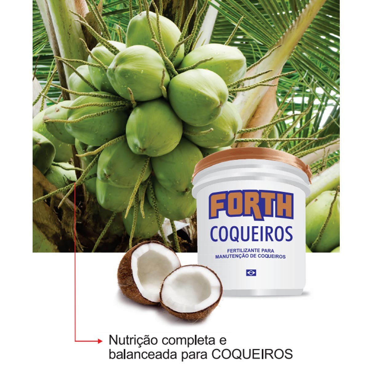Adubo Fertilizante Forth Coqueiros 400g