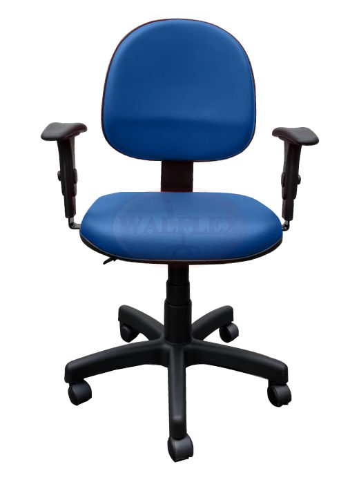 Cadeira Executiva Ergonômica (Com Back System)