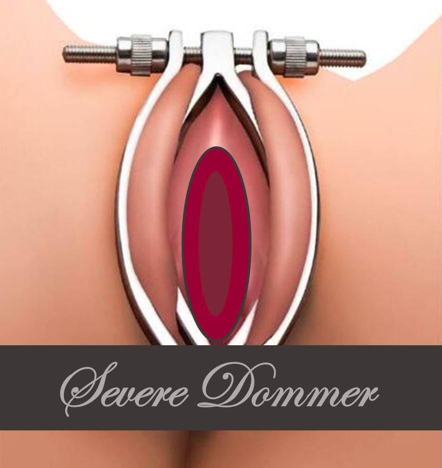 Prendedor de Lábios Vaginais BDSM Severe Dommer