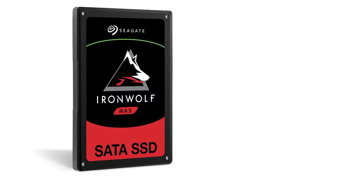 SSD Nas Seagate 2NV109-350 ZA3840NM10011 Ironwolf 3840G Sata