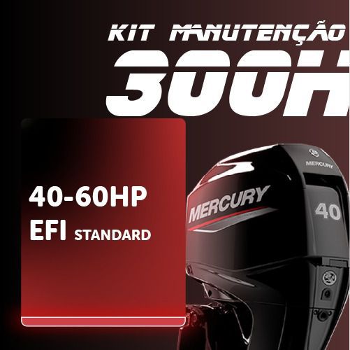 Manutenção 40 - 60 HP EFI 4T (Standard)