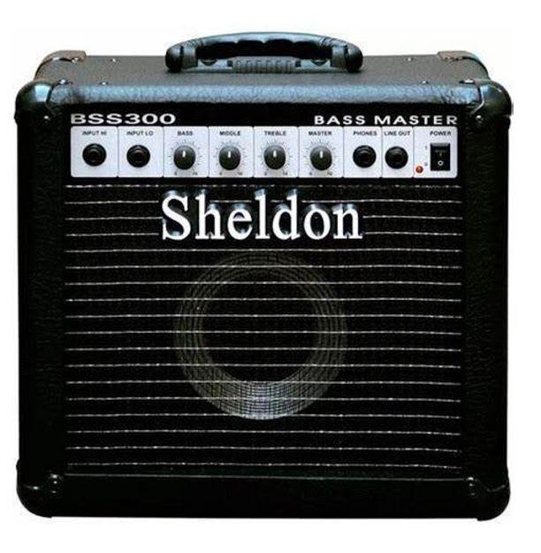 Cubo Amplificador Sheldon Para Contrabaixo BSS300