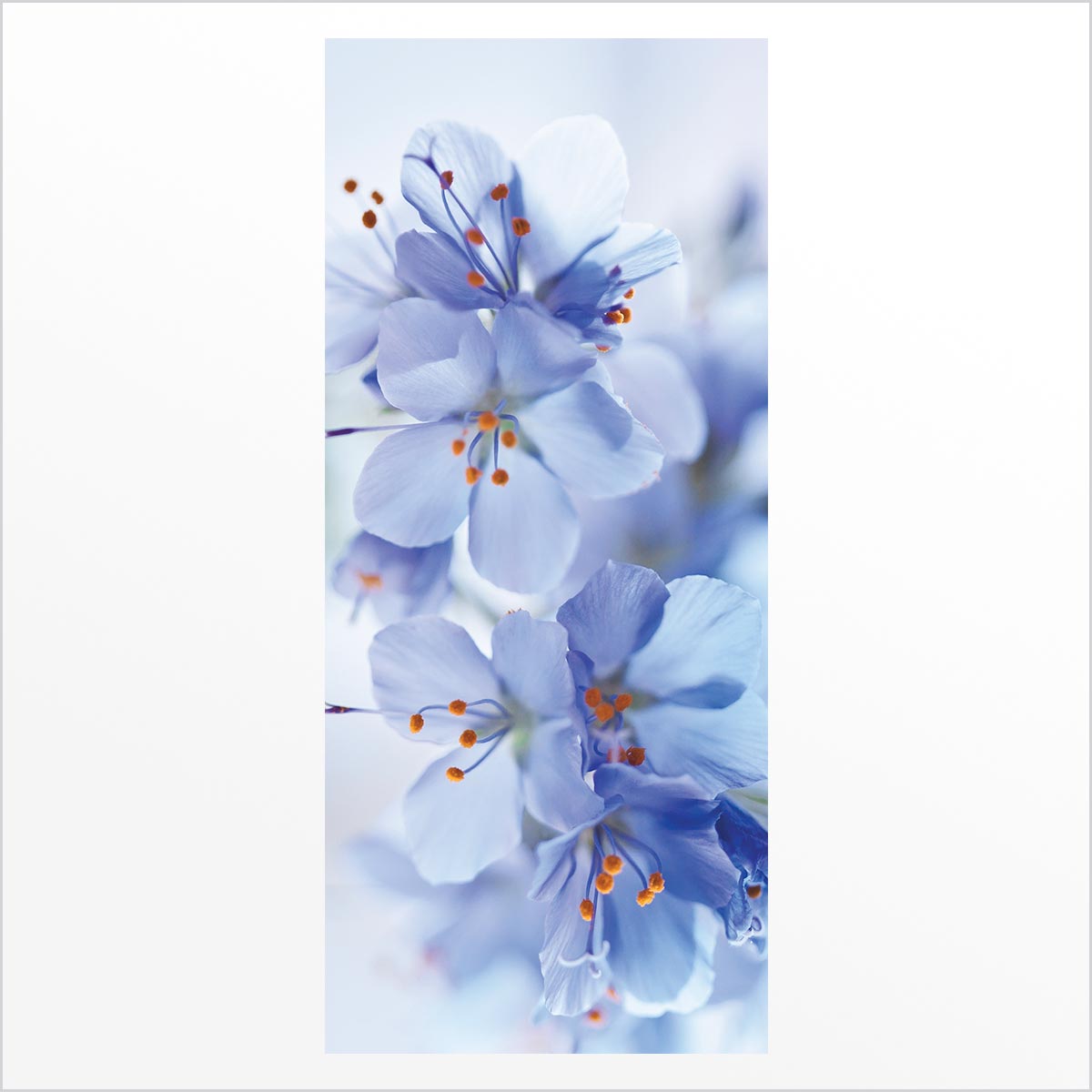 Adesivo de Porta - Flor Azul 1