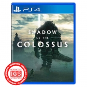 Shadow Of The Colossus - PS4 (CAPA IMPRESSA) (SEMINOVO)