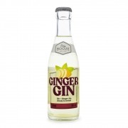 Easy Booze Ginger Gin - Drink Pronto 200ml
