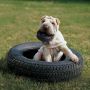 Brinquedo Pneu Traxx Tires Extreme KONG para cães