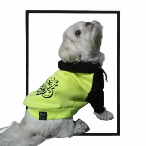 Moletom Pet para cães Amarelo Neon Be Happy- May Dog estiloso e confortável com capuz