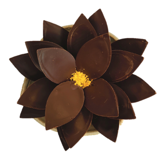 Flor de Chocolate (Para pedidos fora de Curitiba, entrar em contato via whatsapp)