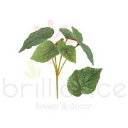 Buque De Begonia Verde com 6 galhos - Brilliance