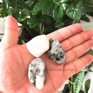 Pedra da Lua Indiana Cristal Natural Rolada - Sensualidade e Fertilidade - M
