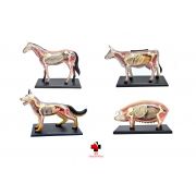 Kit Veterinário para estudo - Cavalo, Vaca, Cachorro e Porco