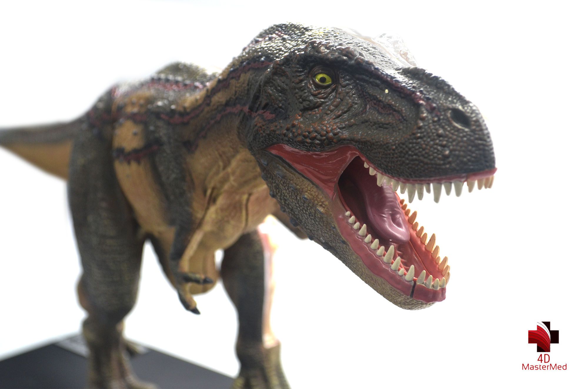 Anatomia do Tiranossauro Rex - 4D MasterMed