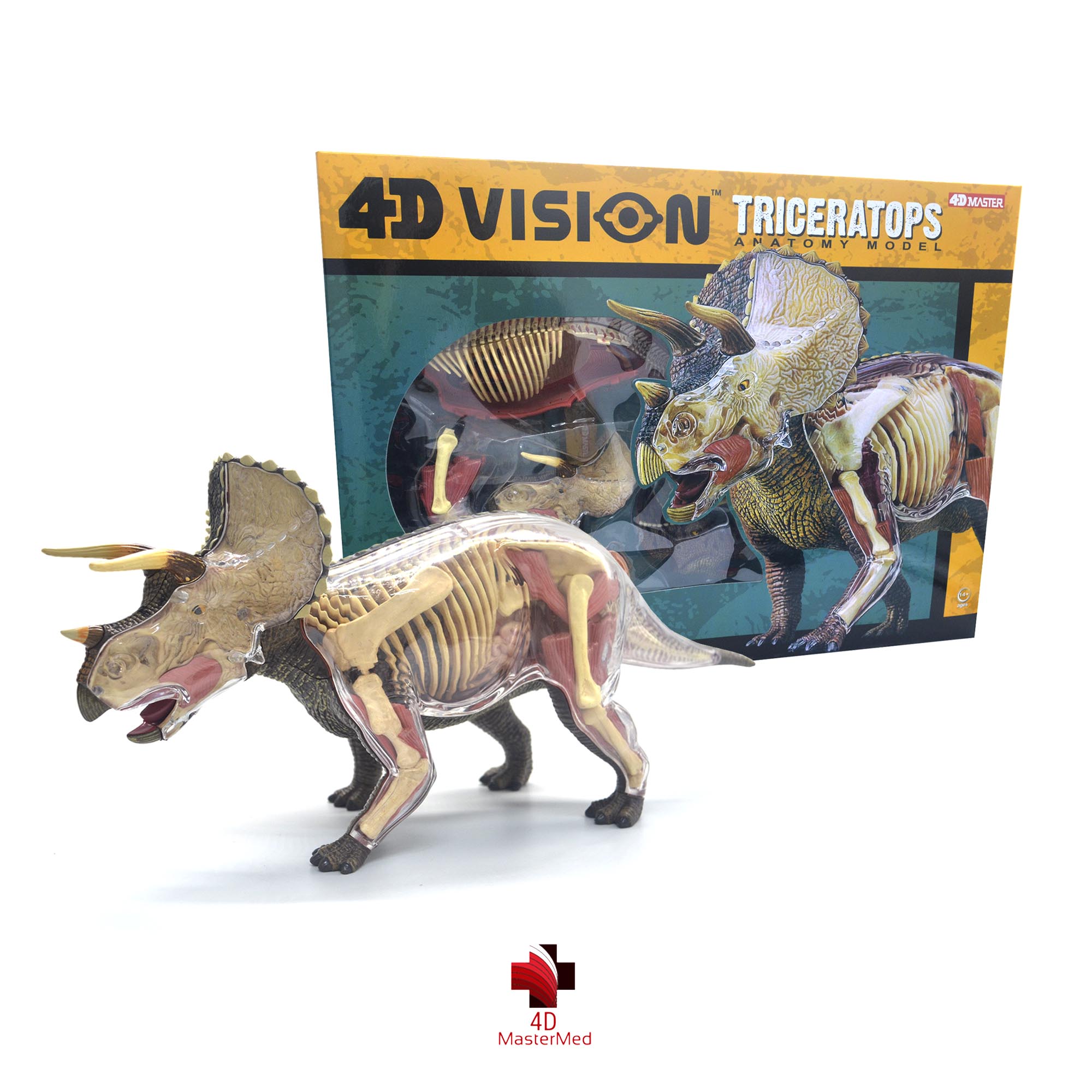 Anatomia do Triceratops - 4D MasterMed