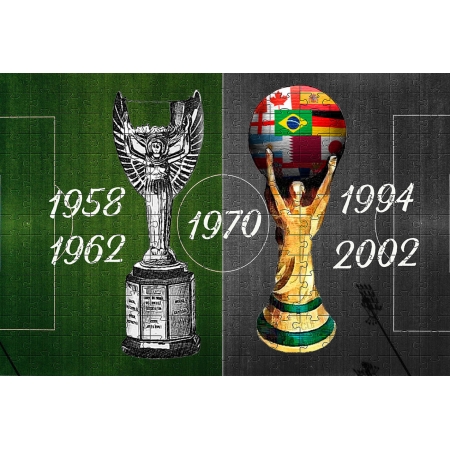 Quebra-cabeça Taça Copa do Mundo Brasil Pentacampeão 300 peças
