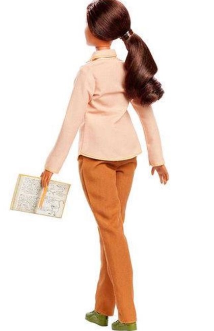 Barbie National Geographic Conservacionista Da Vida Selvagem  Gdm48 Mattel