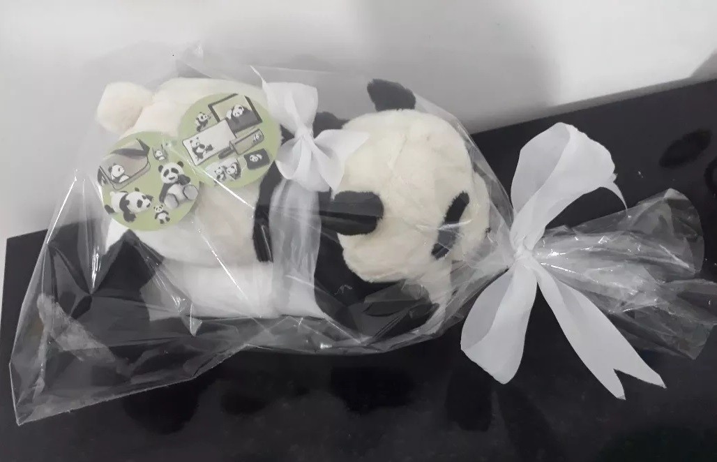 Urso Ursinho Panda 30cm Com Manta Soft Microfibra Naninha Lindo Presente Para Mamãe Maternidade Bebês Neném