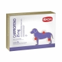 Anti-inflamatório Carprofeno Ibasa para Cães 25mg