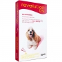 Antipulgas e carrapatos zoetis revolution 12% para cães de 10 a 20 kg - 120 mg