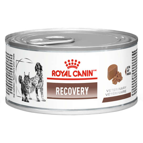 Ração royal canin lata cães e gatos recovery 195g