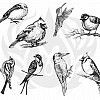 TELA PARA SILKSCREEN - MOTIVO AVIARY - SMALL BIRDS (PÁSSAROS PEQUENOS)
