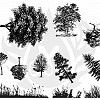TELA PARA SILKSCREEN MOTIVO BOTANICAL TREE GRASS (ÁRVORES E ARBUSTOS)