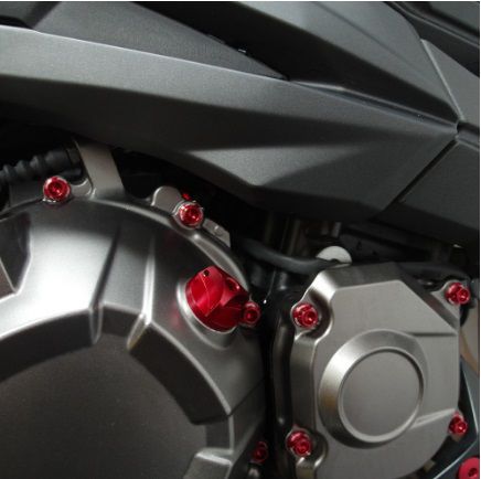 Parafusos da tampa do motor Kawasaki Ninja 250R 08+ Vermelho