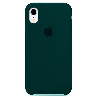 Capa Original Silicone Case IPhone XR Verde Bandeira SC-IXR-VB