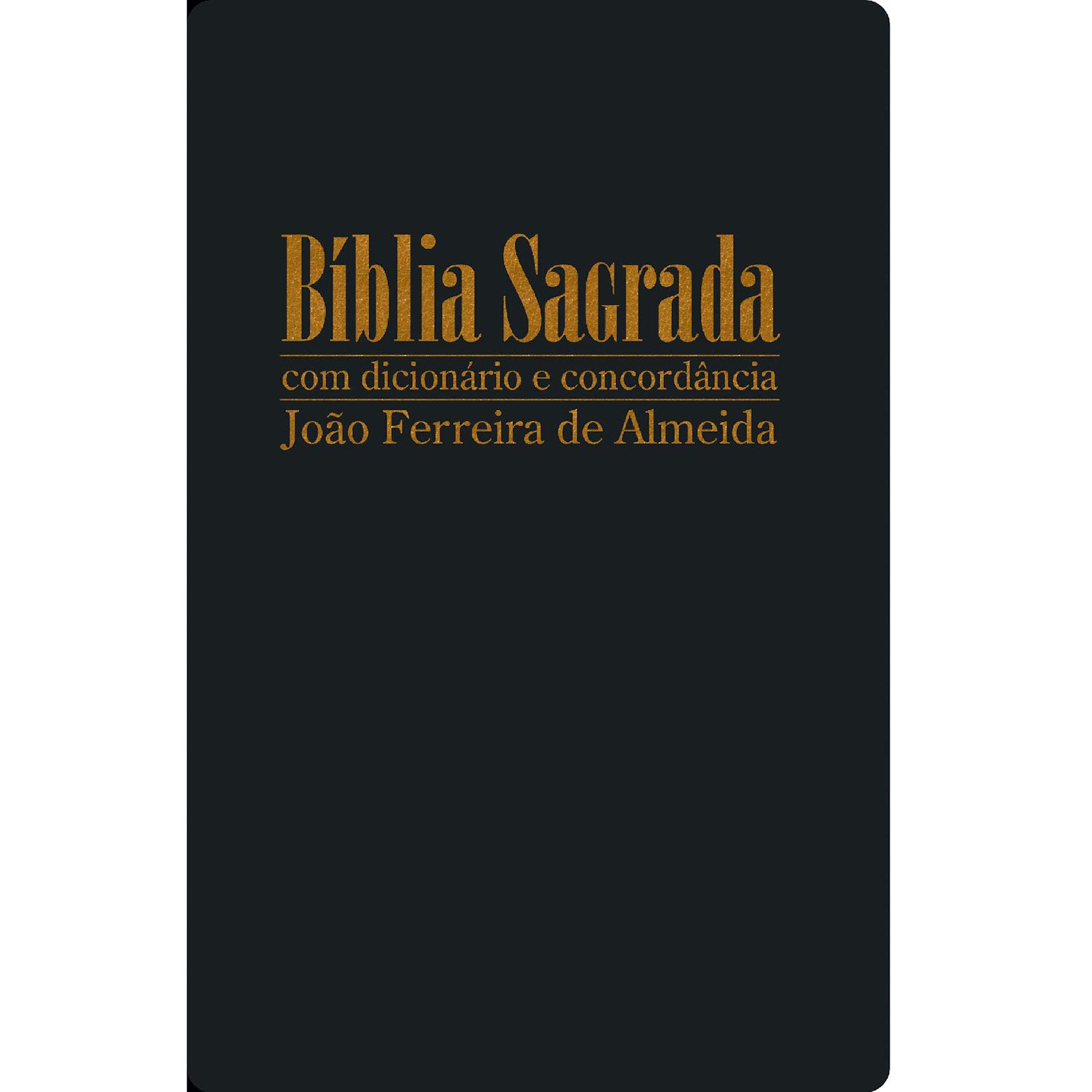 Bíblia Sagrada com Dicionário e Concordância
